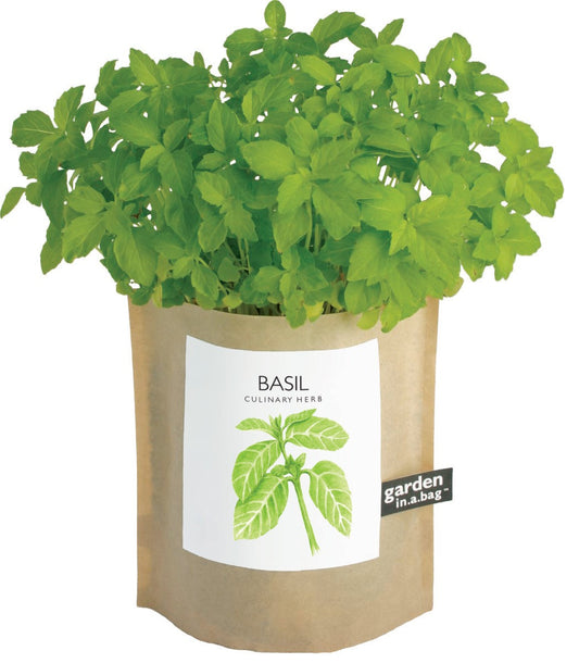 Garden in A Bag - Basil