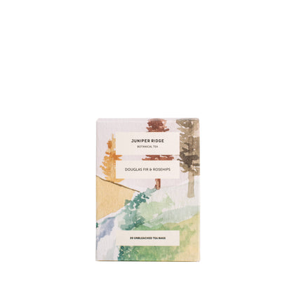 Douglas Fir & Rosehips Tea